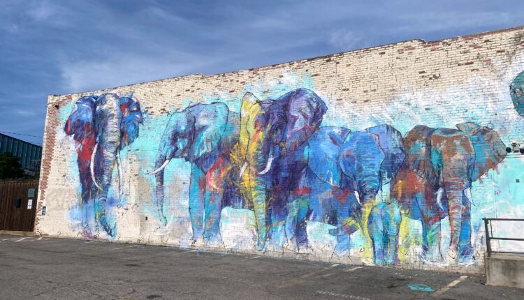 Love local art? Follow our Dallas mural trail