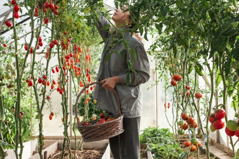 What grows best in Texas? Here’s your ultimate gardening guide