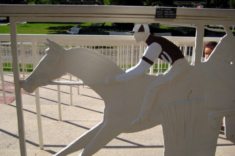 6 legendary Texas animals (and the stories behind them)