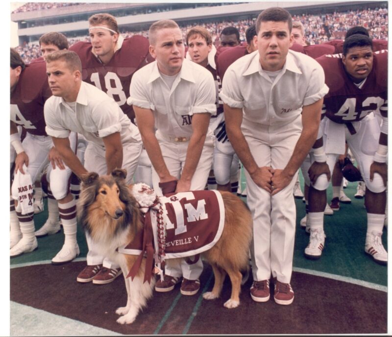 6 legendary Texas animals (and the stories behind them)