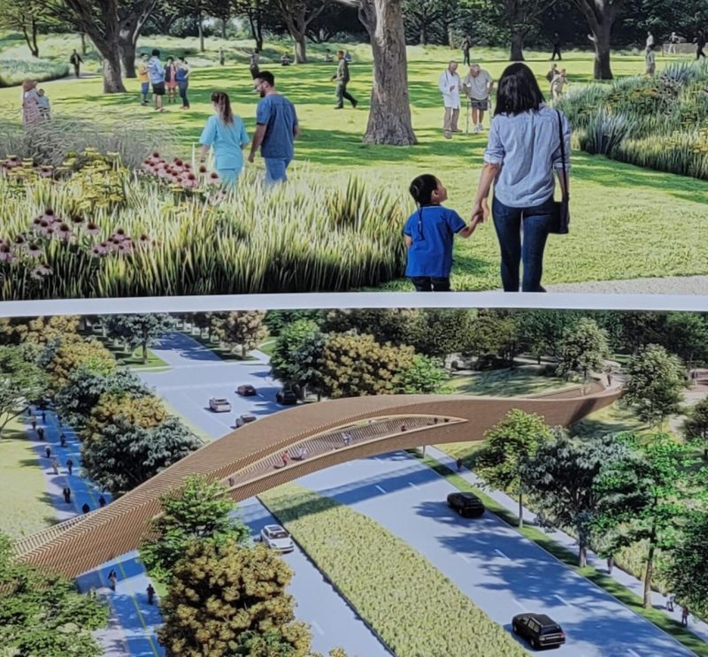 a new study suggests a park with trees and more green space will help cool the heat island in dallas